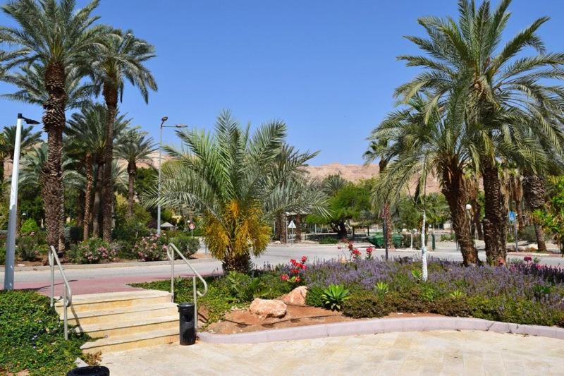 호텔 כפר נופש קליה ים המלח