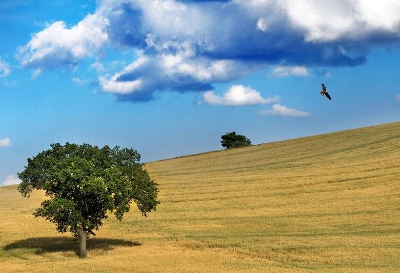 בית מלון כפרי Le Masserie Del Falco