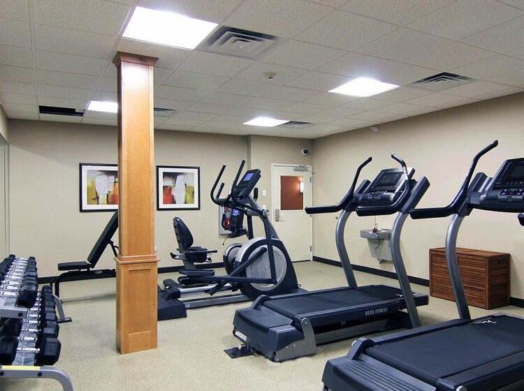 בית מלון כפרי Mainstay Suites Tioga