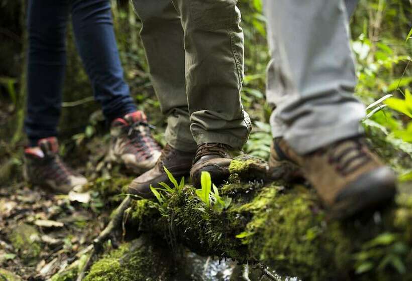 هتل Mocona Virgin Lodge