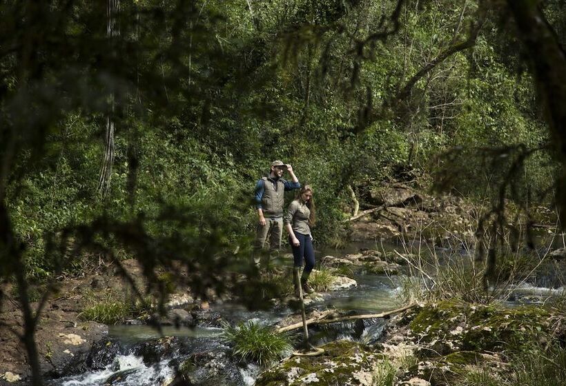 هتل Mocona Virgin Lodge