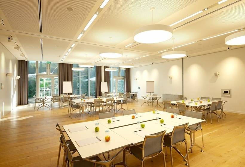 Modern Times Hotel, Vevey, A Tribute Portfolio