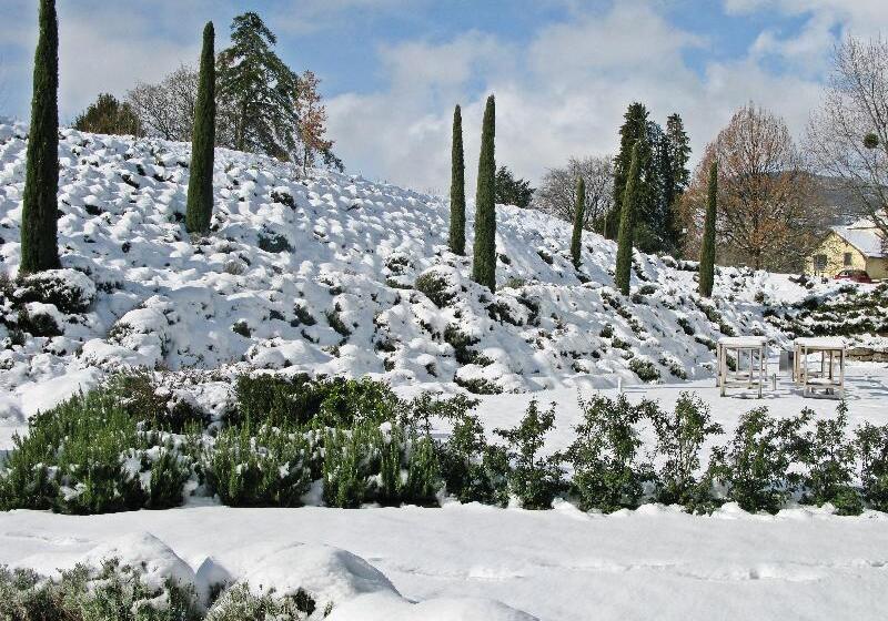 Modern Times Hotel, Vevey, A Tribute Portfolio