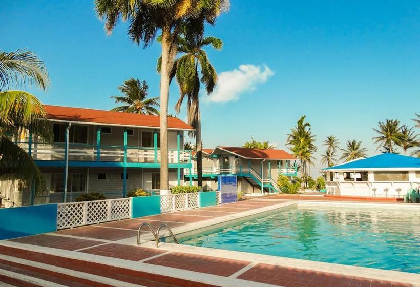 호텔 On Vacation Sea Horse