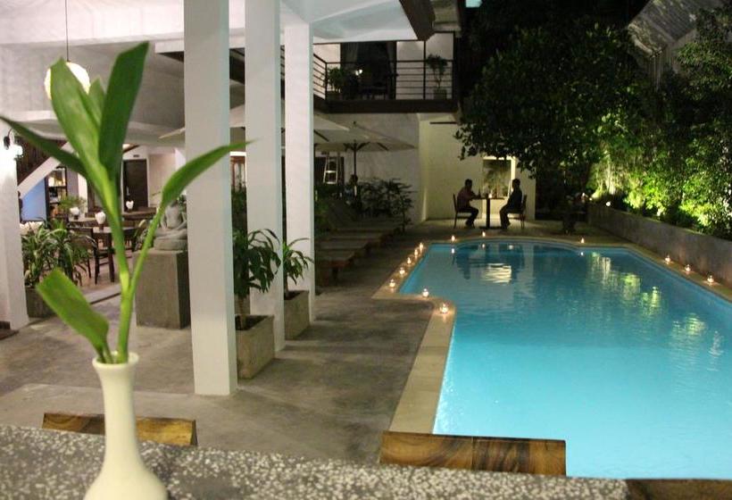 בית מלון כפרי Palm Tree Boutique