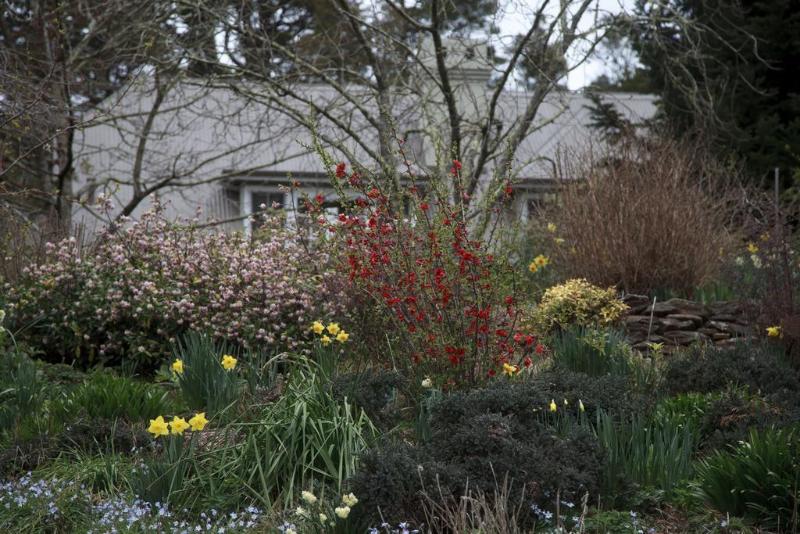 فندق Parklands Country Gardens & Lodges Blue Mountains