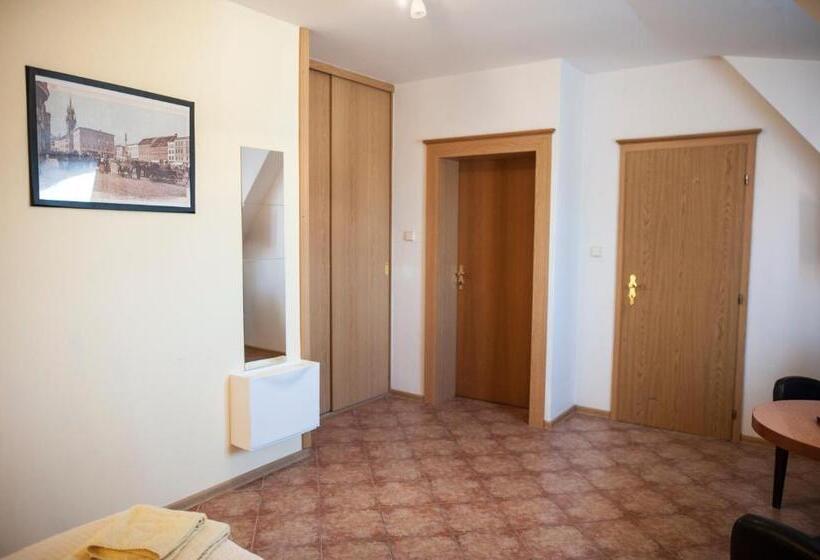 فندق Penzion Eden