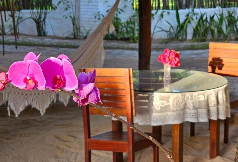 Отель Pousada Enseada Do Gostoso