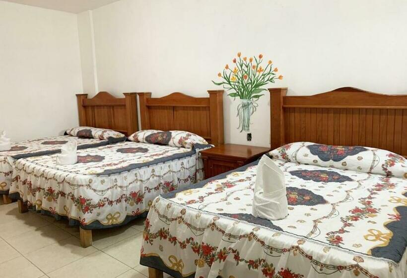 酒店 Quinta De La Rosa