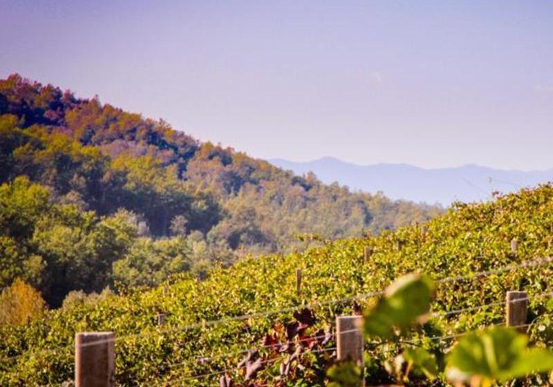 田舎風ホテル Colle Bertini