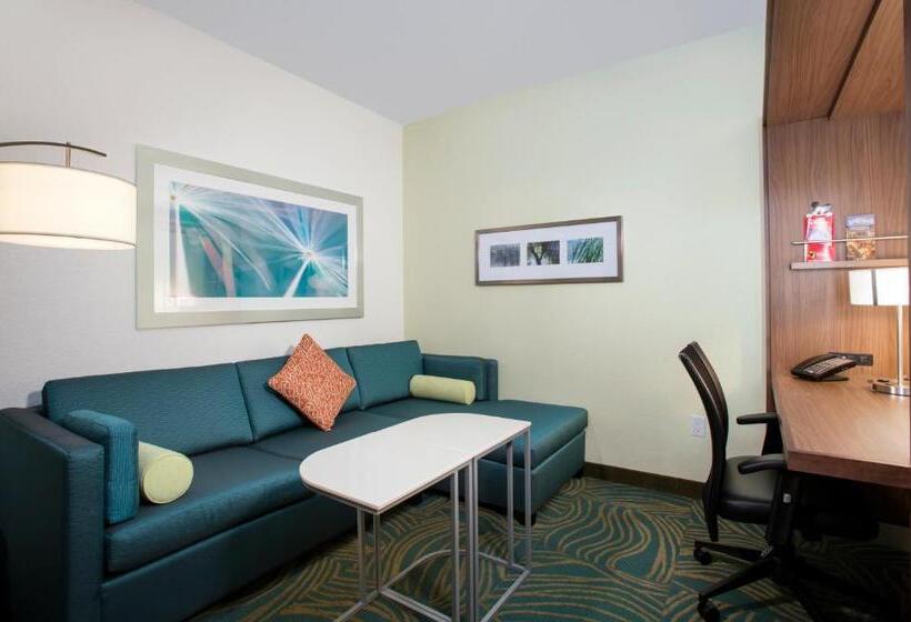 酒店 Springhill Suites By Marriott Orlando At Flamingo Crossings Town Center Western Entrance