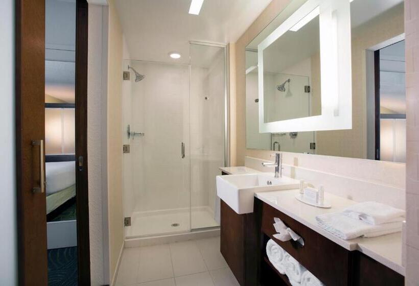 酒店 Springhill Suites By Marriott Orlando At Flamingo Crossings Town Center Western Entrance