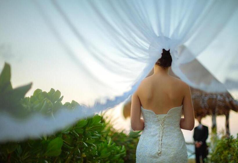 리조트 Occidental At Xcaret Destination   All Inclusive