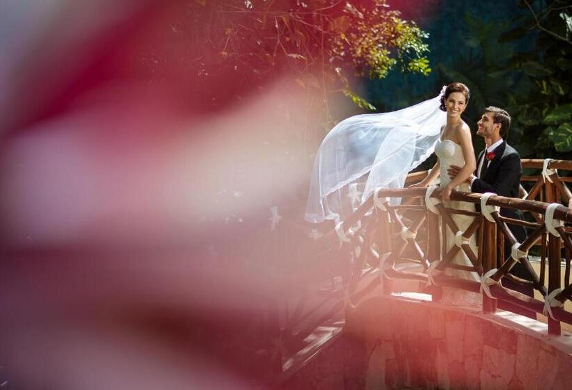 리조트 Occidental At Xcaret Destination   All Inclusive