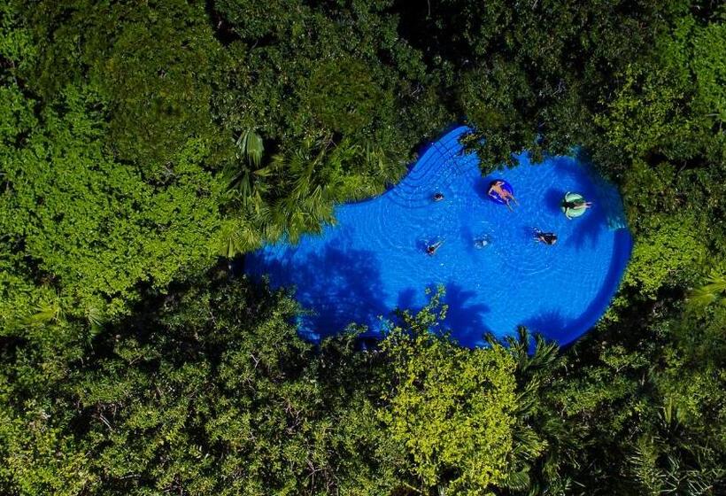 אתר נופש Occidental At Xcaret Destination   All Inclusive