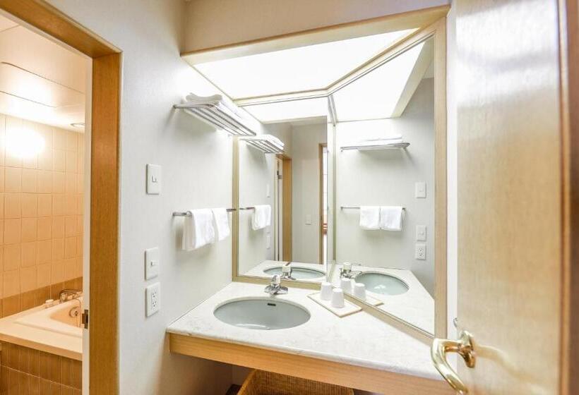 Chateraise Hotel Nirasaki No Mori