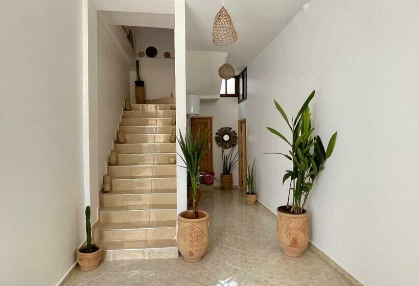 فندق صغير Jungle Surf House