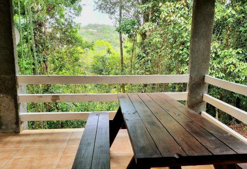 צימר Olp Treehouse Cerro Azul