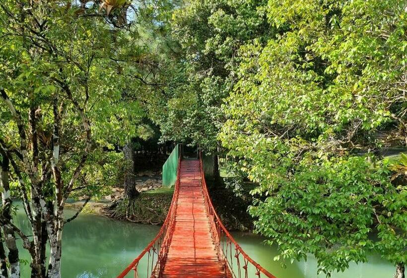 צימר Olp Treehouse Cerro Azul