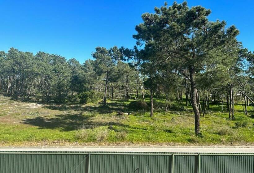 Dolphin House Hostel