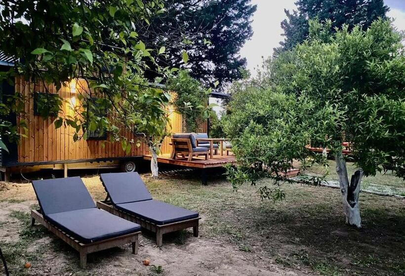 בית מלון כפרי Arabahce Houses