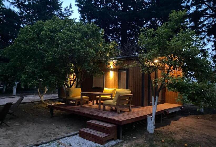 בית מלון כפרי Arabahce Houses