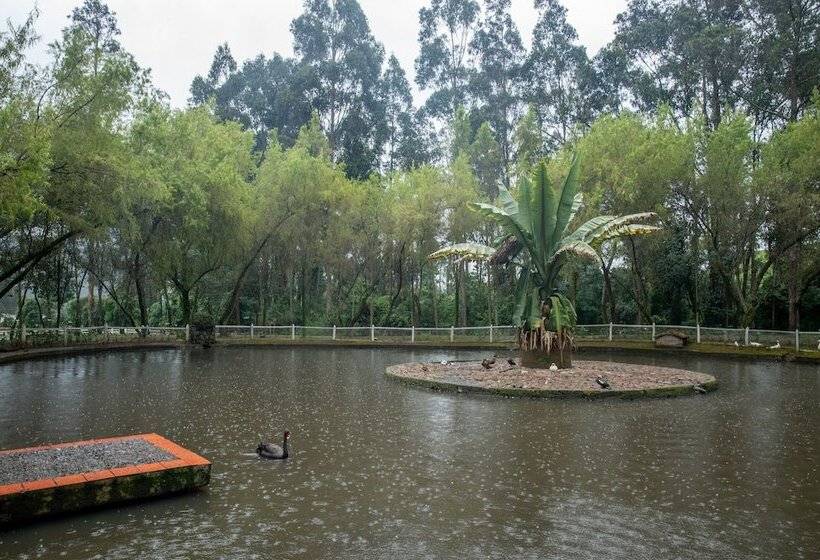 ホテル Boutique La Casona De La Moreria