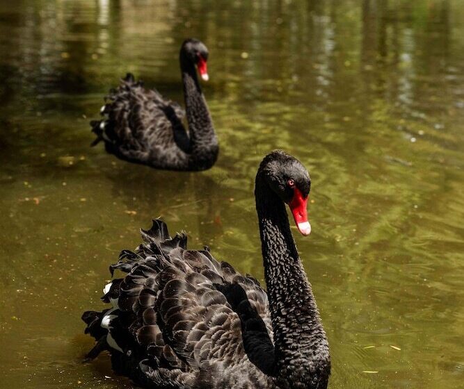 ホテル Boutique La Casona De La Moreria