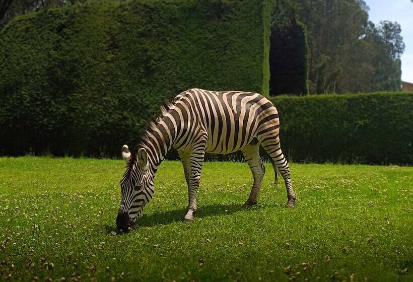 ホテル Boutique La Casona De La Moreria