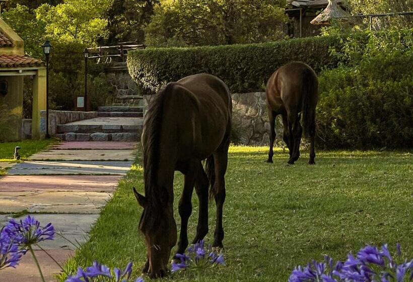 ホテル Estancia Alto San Pedro