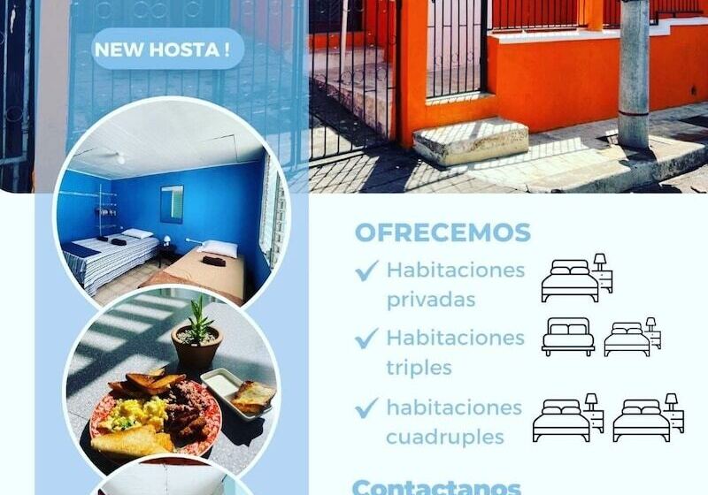 هتل Hostal Cisne House