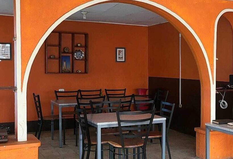 فندق Hostal Cisne House