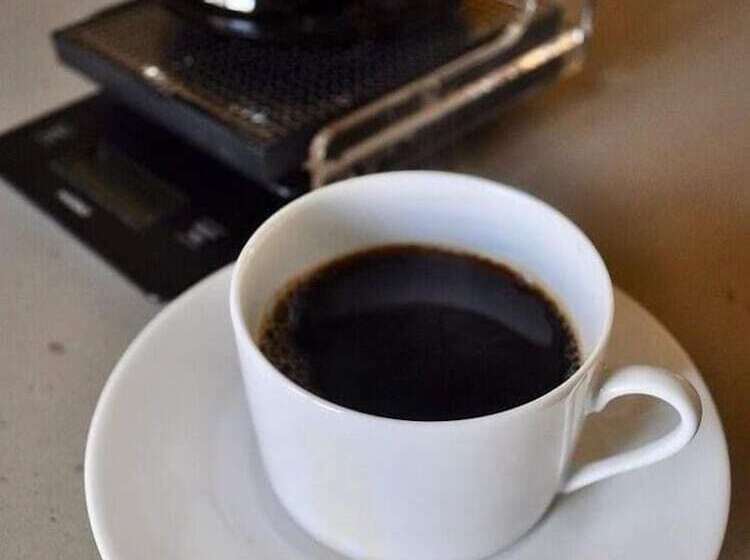 فندق Hostal Cisne House