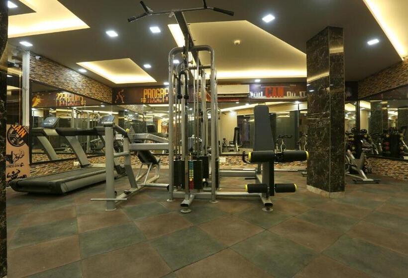 فندق Prithvi Raj Near Delhi Airport