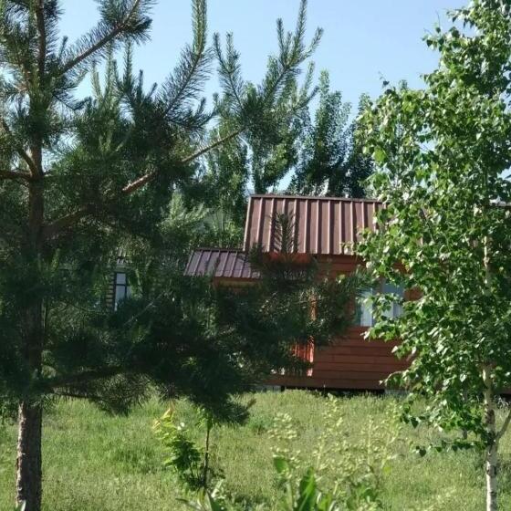 پانسیون гостевой дом темирлан