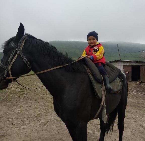 پانسیون гостевой дом темирлан