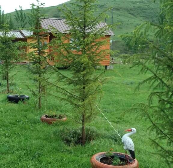 پانسیون гостевой дом темирлан