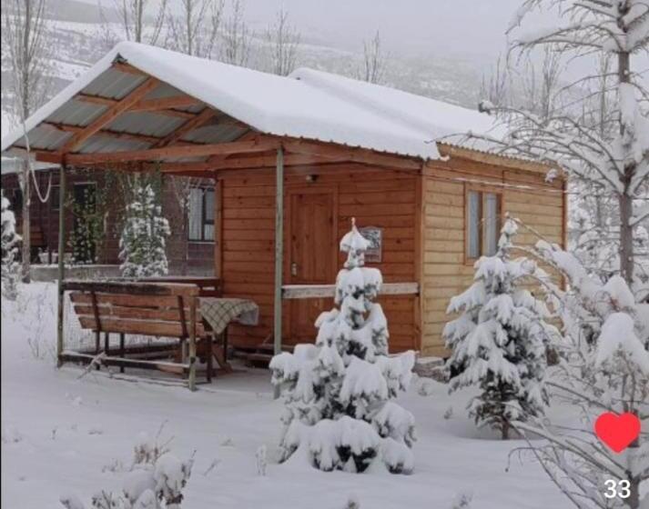 پانسیون гостевой дом темирлан