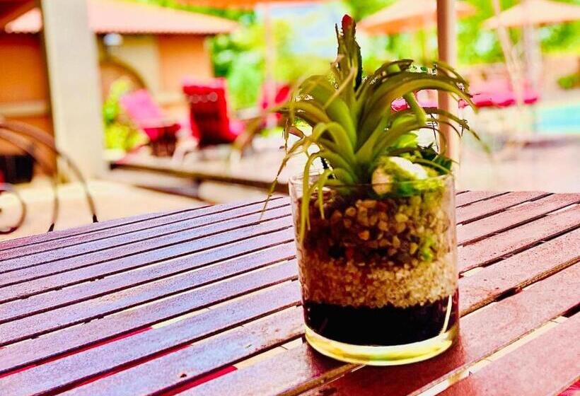 פנסיון Gucci Manor Boutique Guesthouse