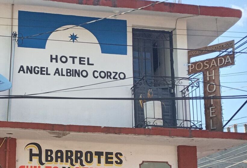 酒店 Posada Angel Albino Corzo