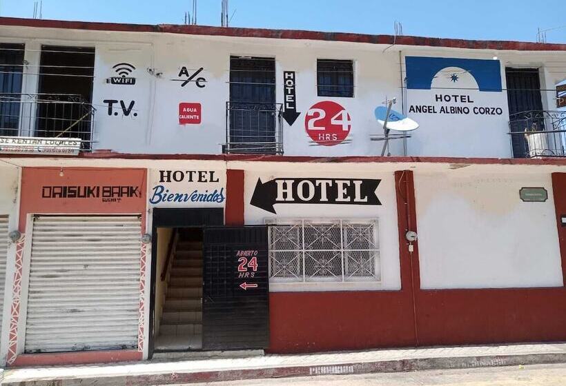 酒店 Posada Angel Albino Corzo