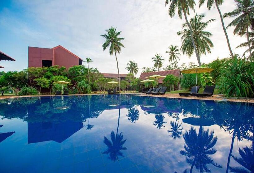 ホテル Celestia Ayurveda Resort