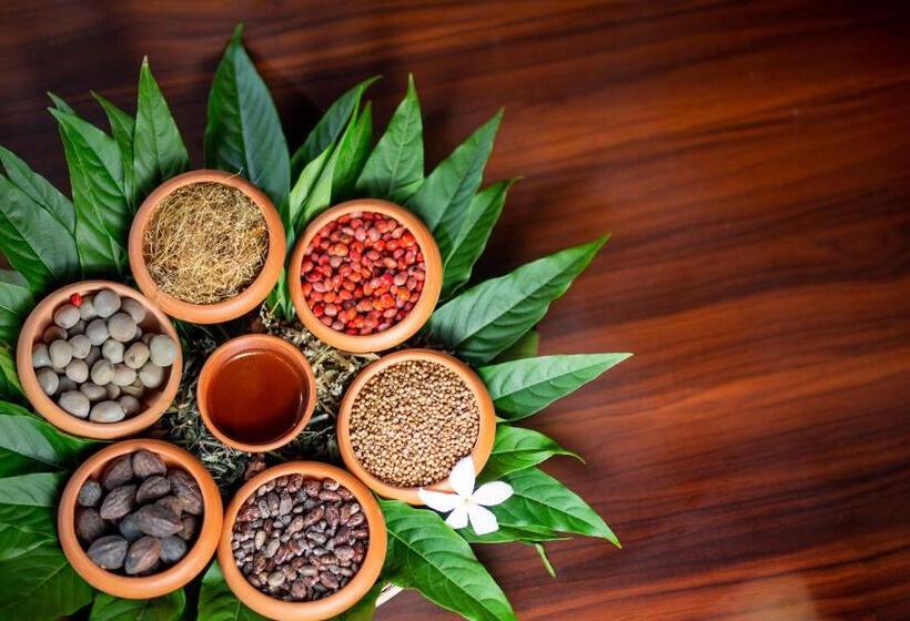 فندق Celestia Ayurveda Resort