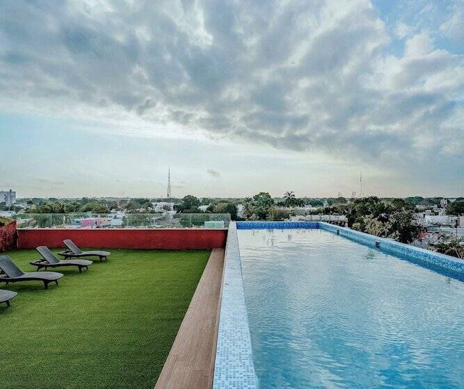 هتل Kavia Premium Paseo Montejo