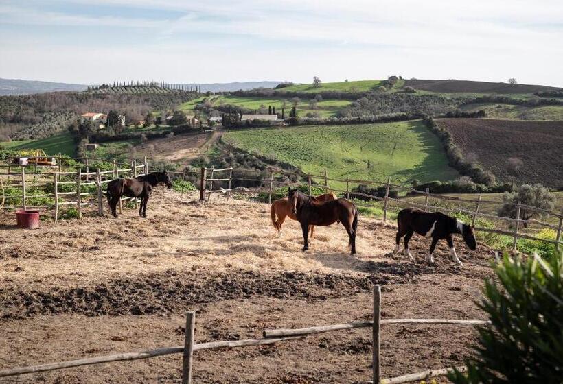 فندق Locanda Fontelupa