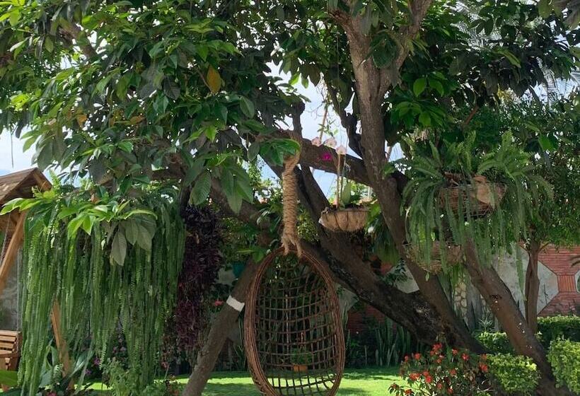 호텔 La Mar Playas