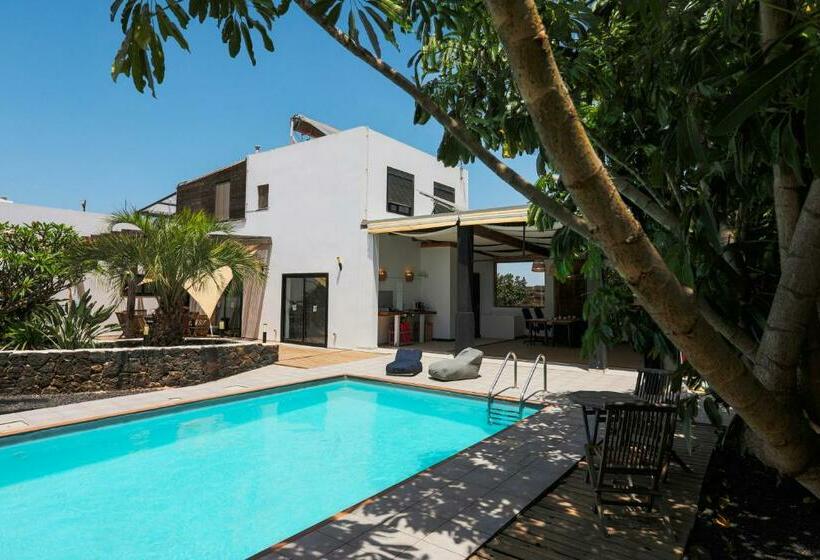 فندق صغير Creative Harbour Fuerteventura