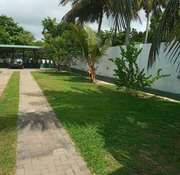 فندق صغير Curly Place