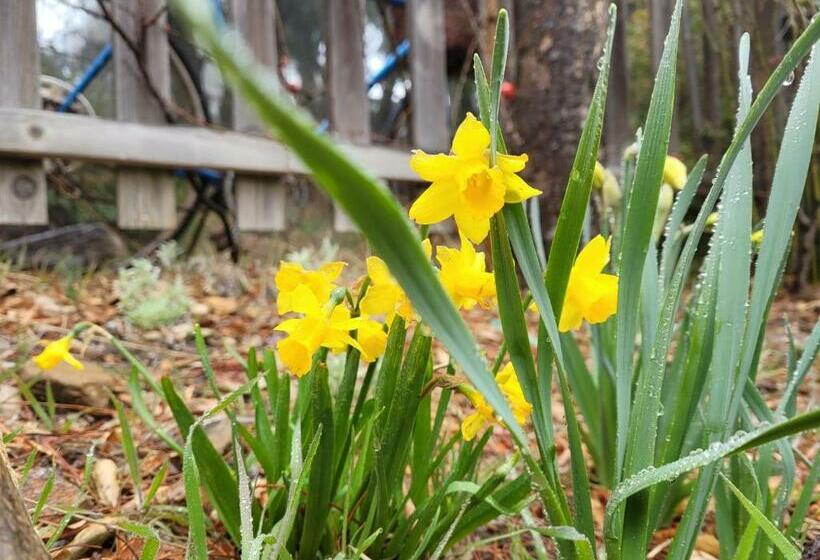 호스텔 Oak Hill Inn