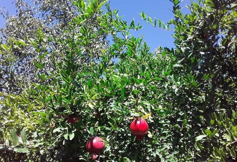 Bed and Breakfast Artgarden Family House